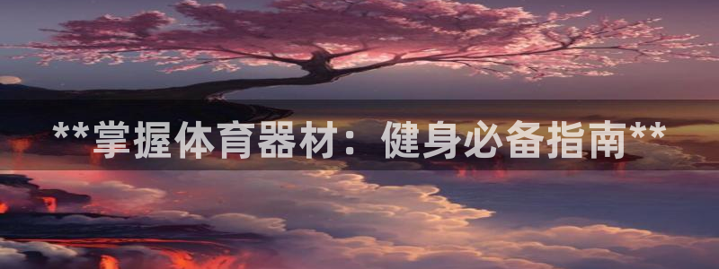 极悦平台的注册流程及注意事项是什么:**掌握体育器材:健身必