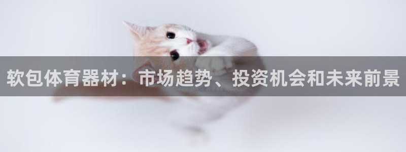 极悦娱乐代理怎么样可靠吗:软包体育器材:市场趋势、投资机会和