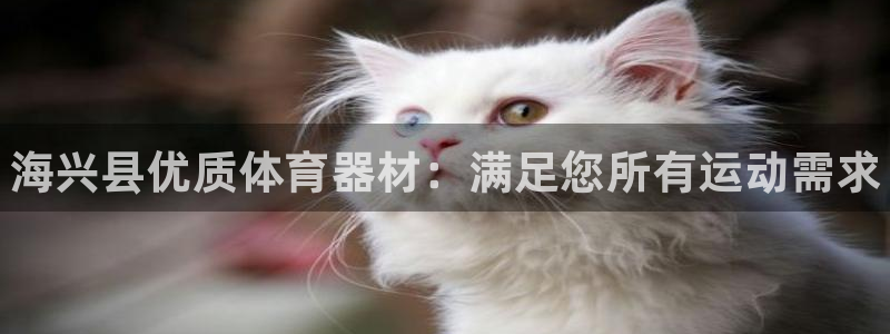 极悦平台注册官网网址:海兴县优质体育器材:满足您所有运动需求