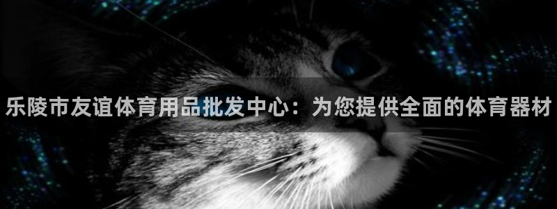 极悦平台注册和登录页面不一样:乐陵市友谊体育用品批发中心:为
